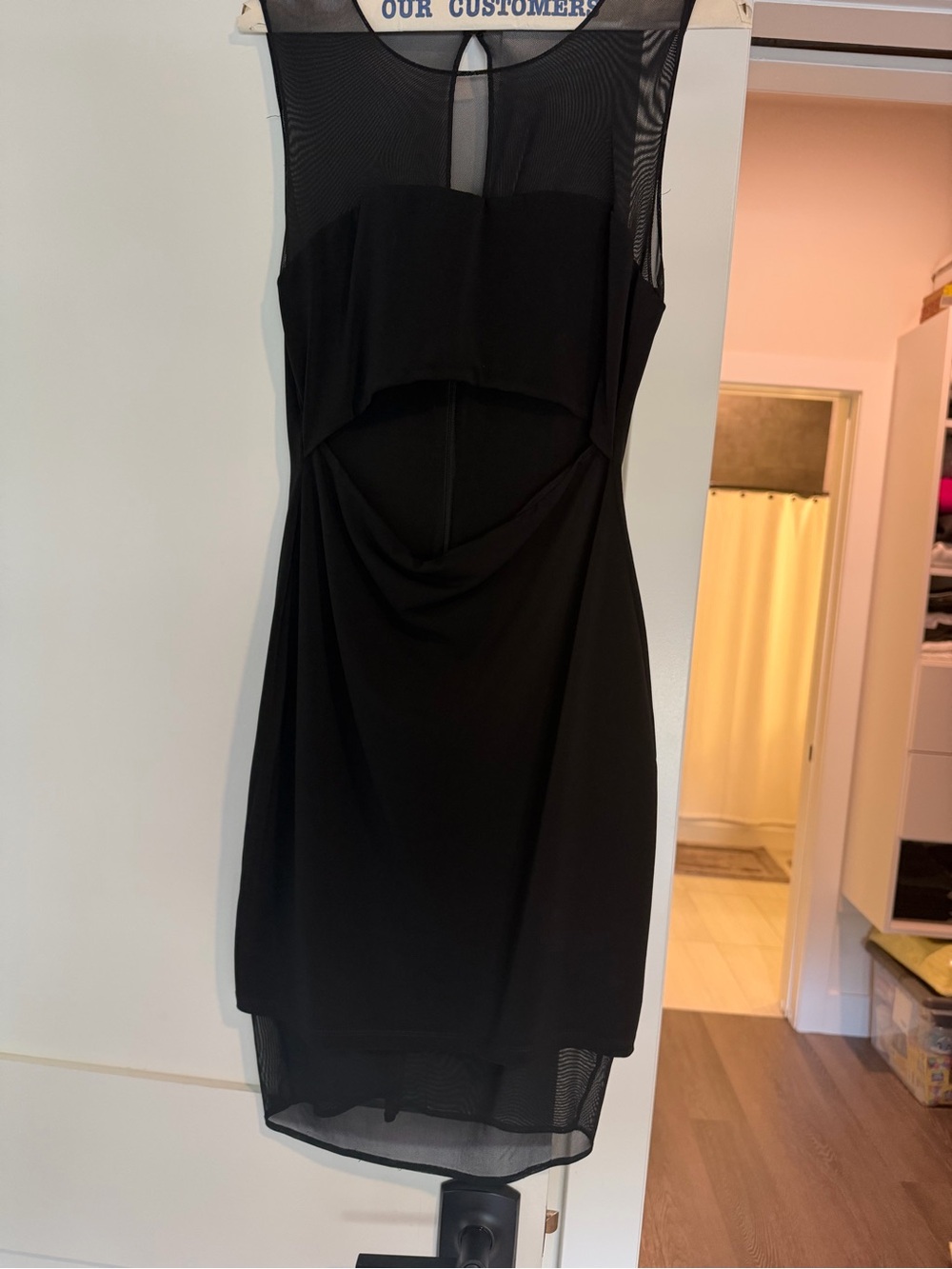 Elizabeth and James Black Sleeveless Mesh-Panel Mini Dress